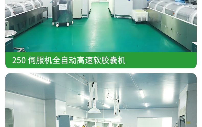护发精油养发胶囊维生素角蛋白HairSerum卷发香氛跨境外贸批发