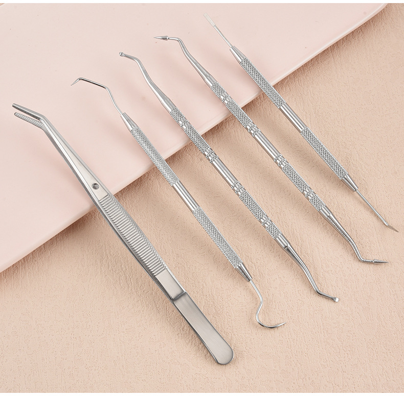 Stainless Steel Dental Cleaning Tool Set