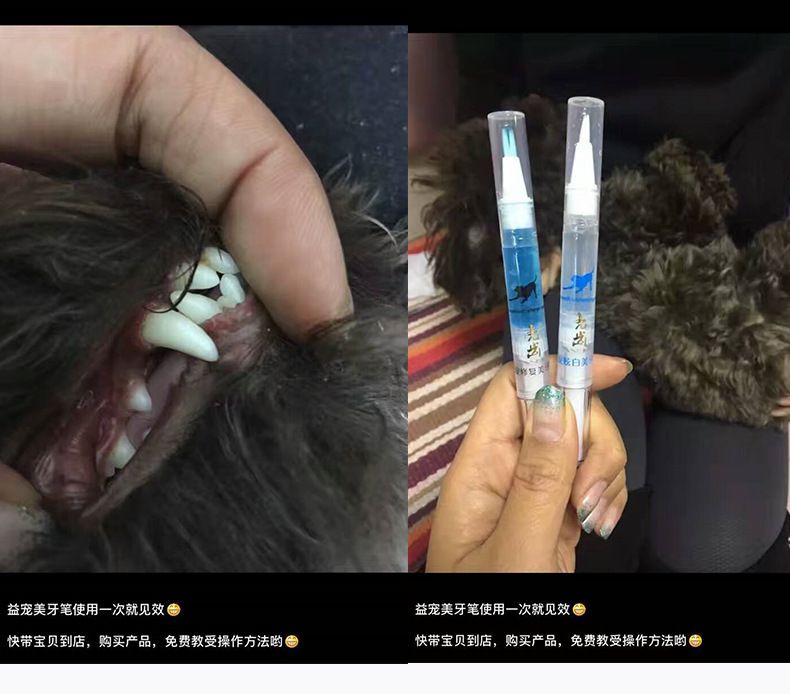 Pet dental cleaning set for dogs and cats, tartar and calculus remover pen