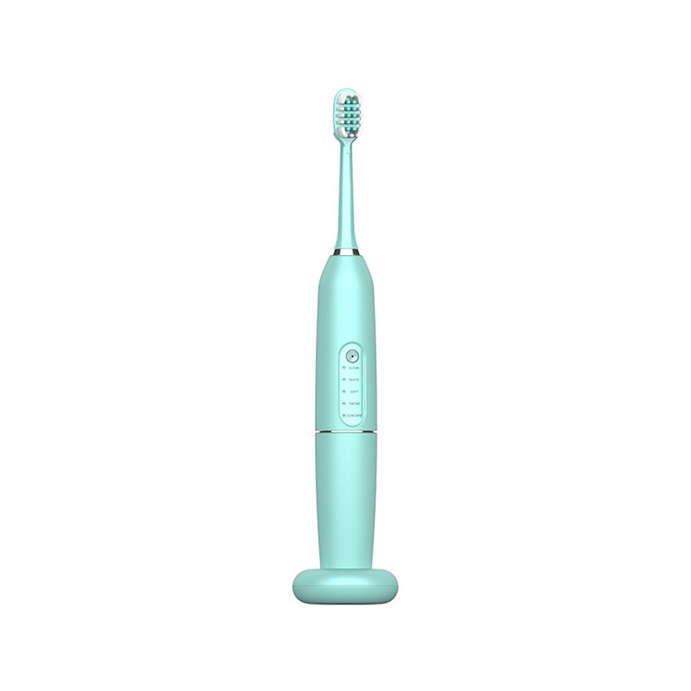 Smart ultrasonic electric toothbrush with magnetic mounting