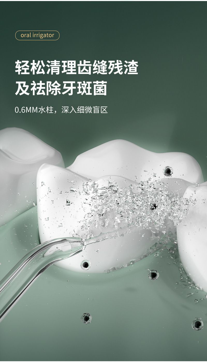 Portable electric water flosser, multi-level adjustable