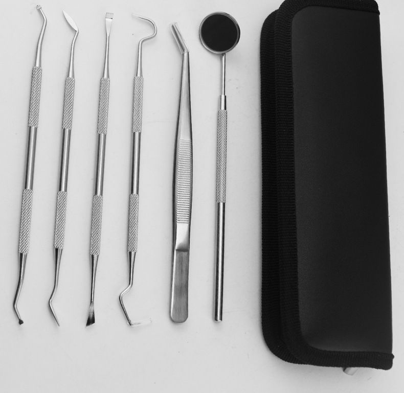 Dental care kit, stainless steel, 6-piece