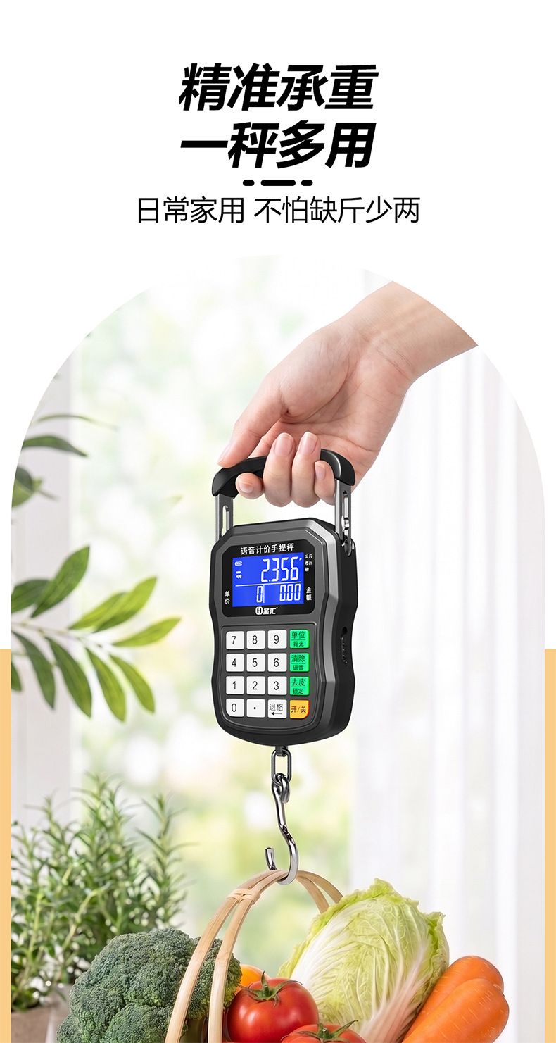 50kg portable hanging scale with voice announcement
