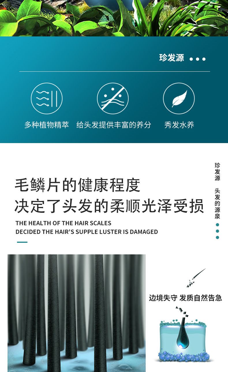 Zhenfayuan Gardenie Shampoo, Ölkontrolle und glatte Haare