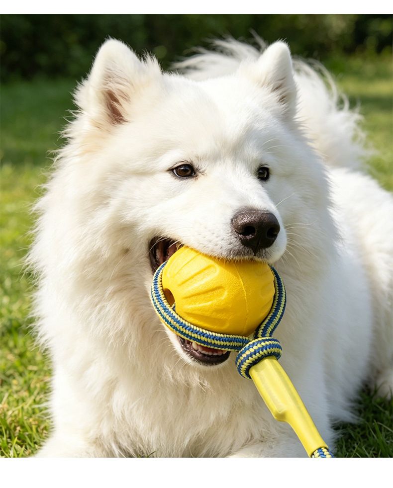 Köpek tug oyuncağı, orta/büyük irk, interaktif
