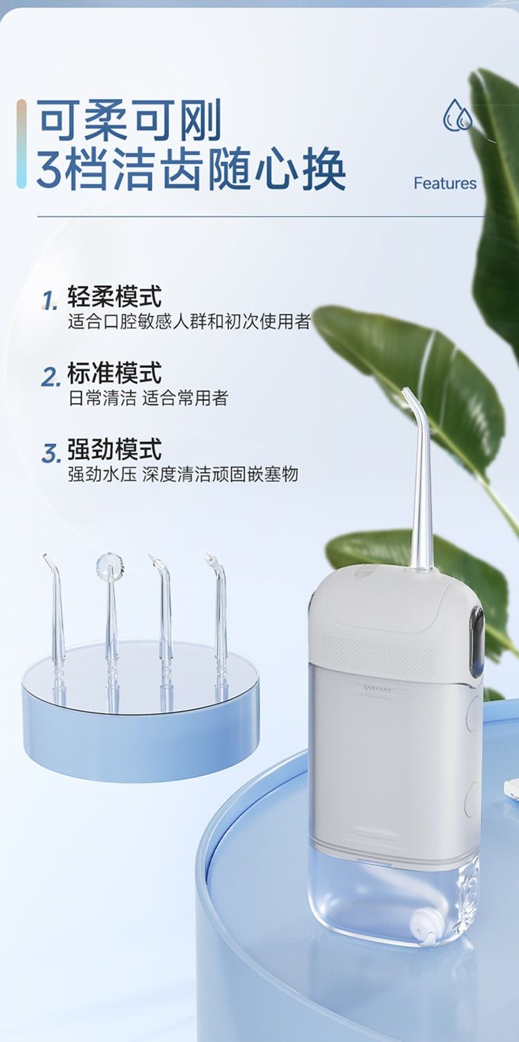 Tragbare elektrische Munddusche mit Wasserflosser-Funktion