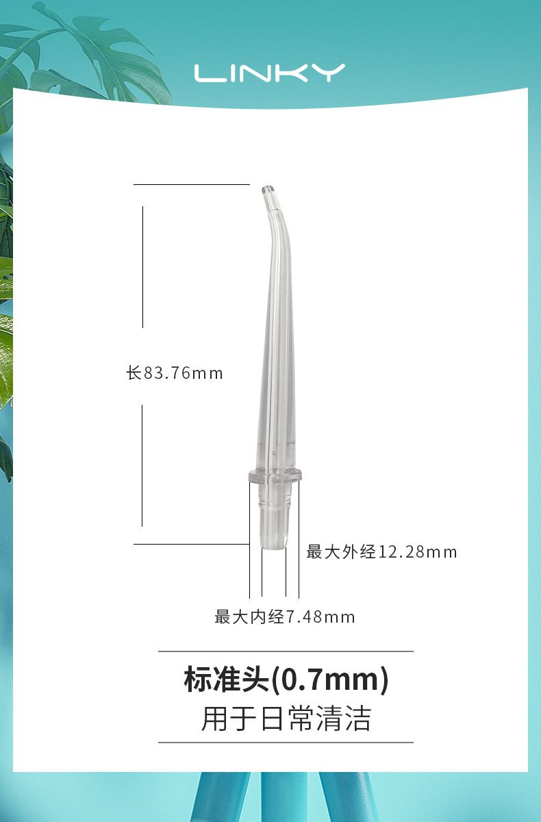 C03 electric oral irrigator with replacement nozzle set and storage bag
