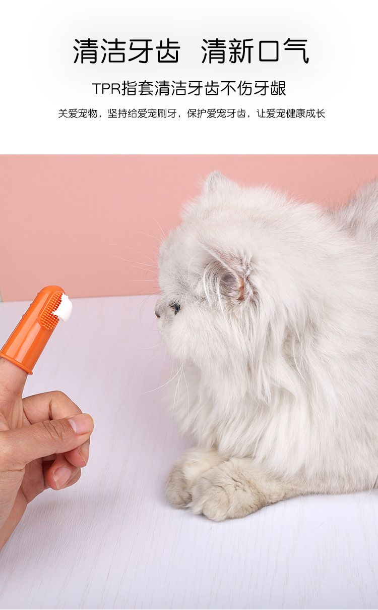 Evcil hayvan diş fırçası ve diş macunu seti, köpek ve kedi