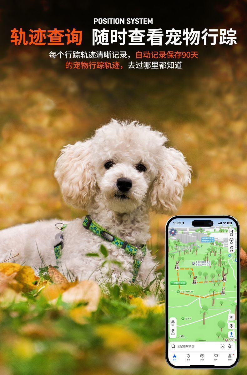 Yut evcil hayvan telefon saati, 4G GPS tasma takip cihazı