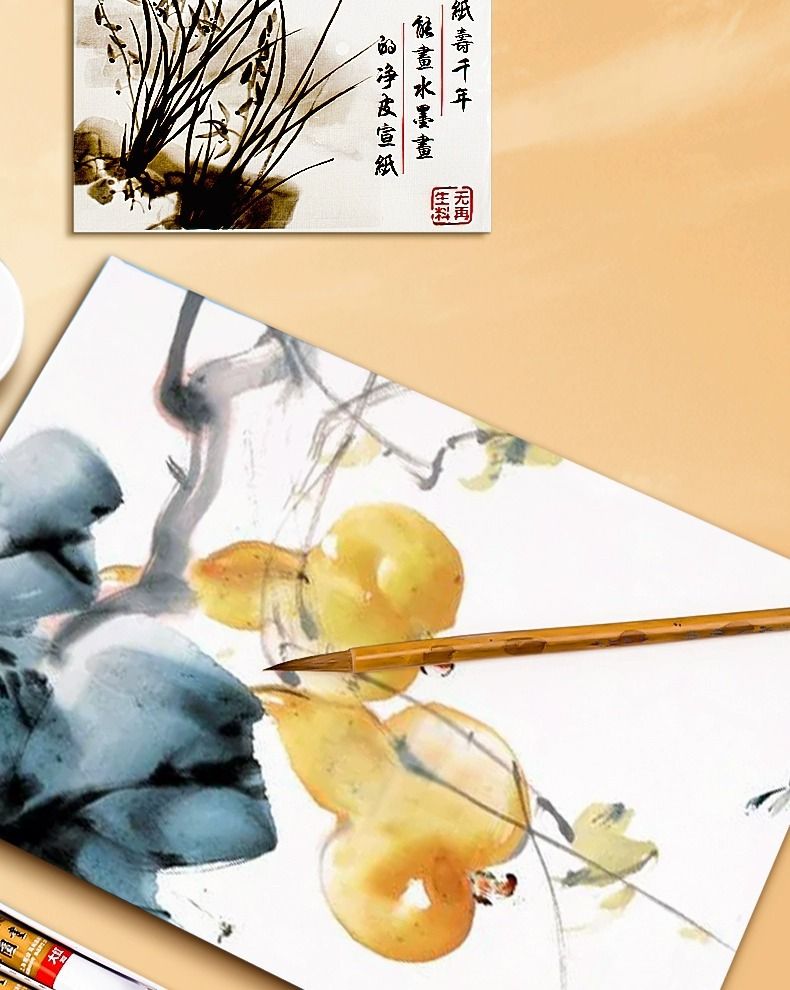 Marley Chinese Painting Pigment Set for Beginners, Ink Paint