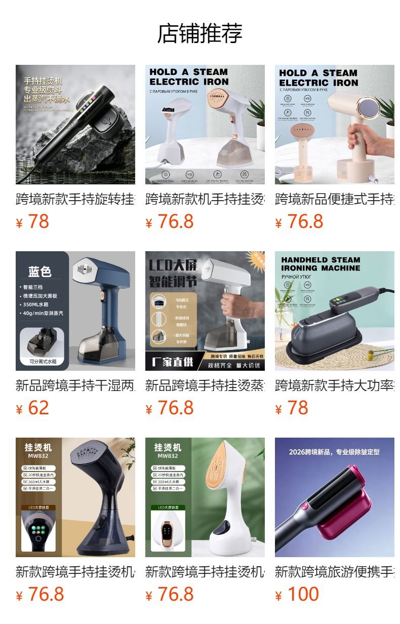 Portable electric steam iron for home use
