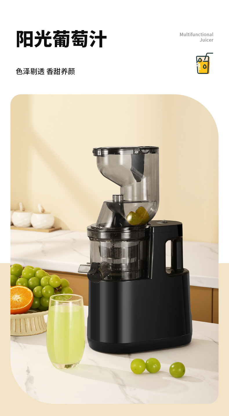 Fully automatic fruit and vegetable juicer with soy milk function