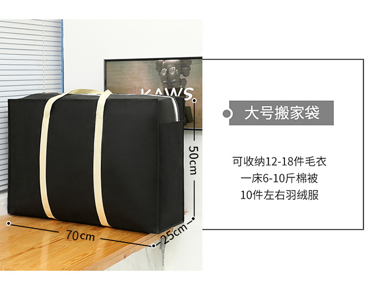Non-Woven Clothing and Quilt Storage Bag