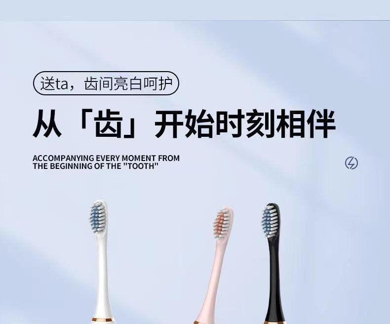 Electric toothbrush, adult, waterproof, rechargeable