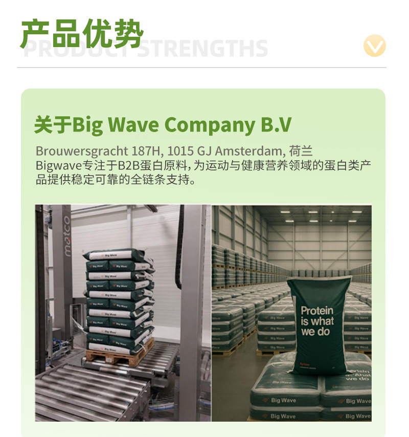 Big Wave WPI90 süt peynir altı suyu protein tozu