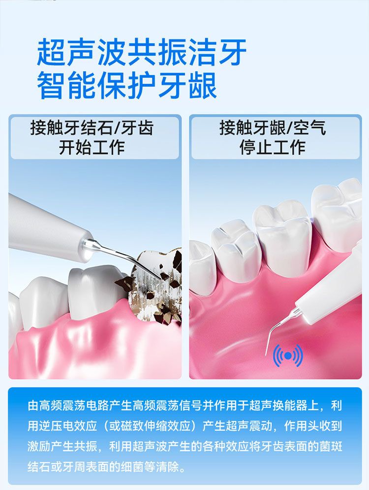 Pet electric toothbrush, dental cleaner and polisher