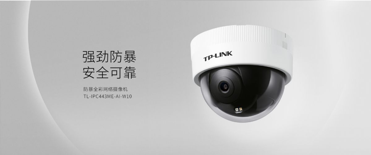 TP-LINK 4MP Tam Renkli İç Mekan Kamerası 443ME-AI4-W10