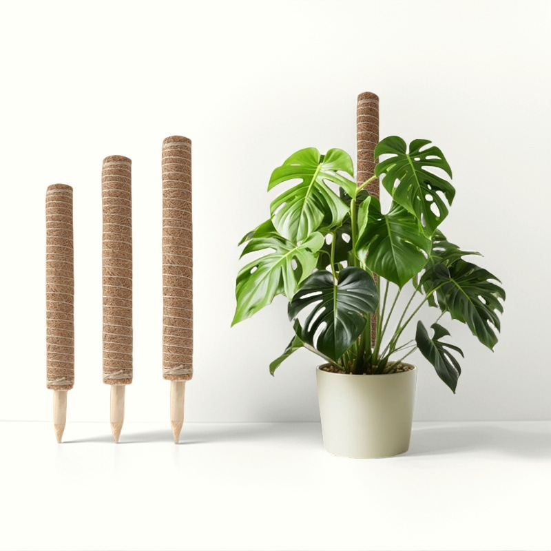 Monstera-Stützstab, natürliche Kokospalmensäule, Pflanzen-Kletterrahmen