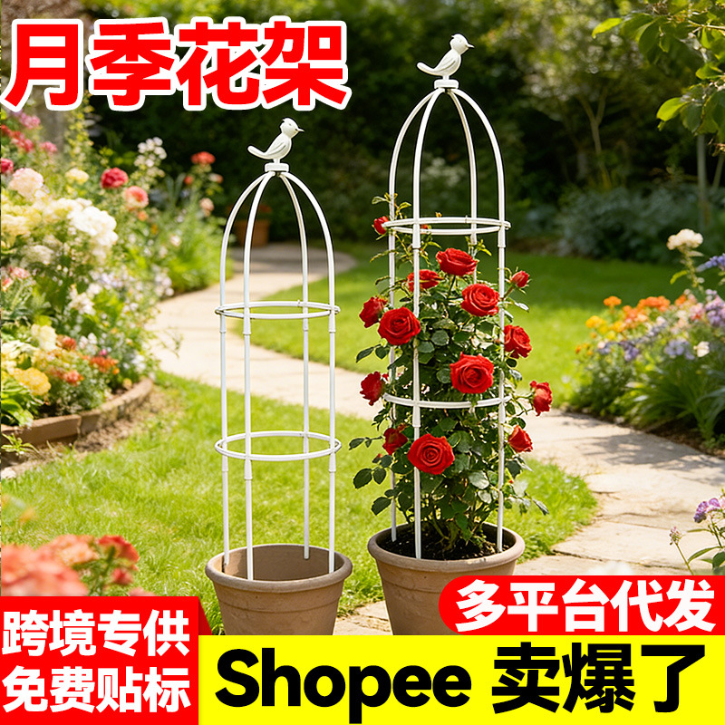 European-Style Garden Climbing Trellis for Roses and Clematis