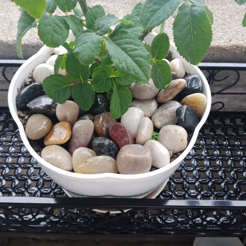 Natural Pebbles, Colored Stones for Aquarium and Flower Pot Decoration