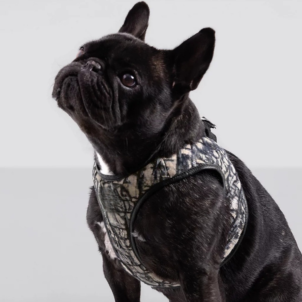 Dog Chest Harness Vest Style with Floral Pattern and Poop Bag Dispenser