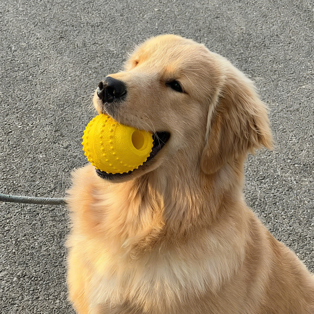 EVA Dog Training Ball, Bite-Resistant and Easy to Clean, Small and Large Dogs - 1