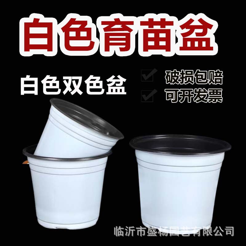 White Two-Color Seedling Pot for Flower Nursery Planting