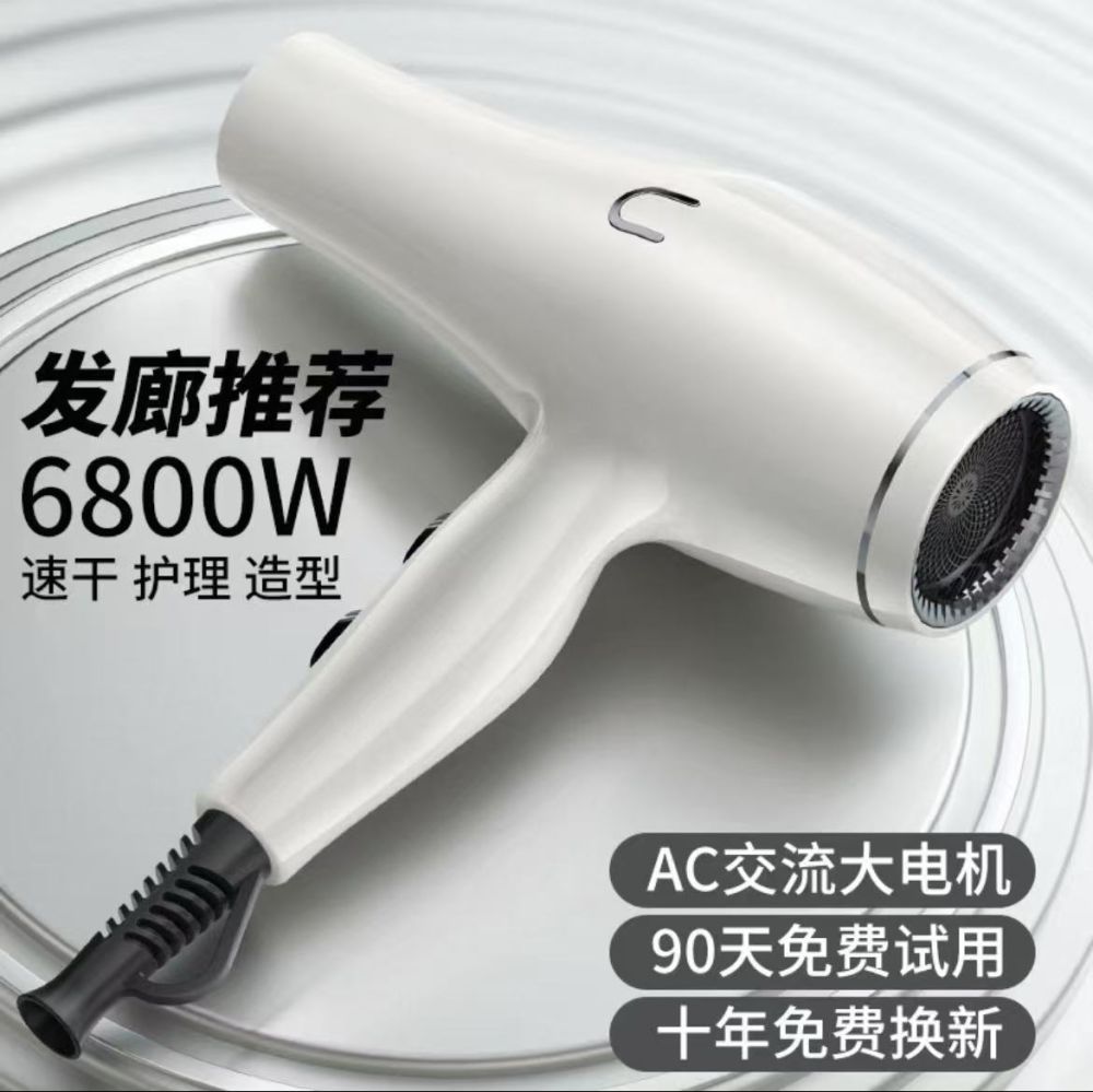 Professional Negative Ion Hair Dryer with High Airflow