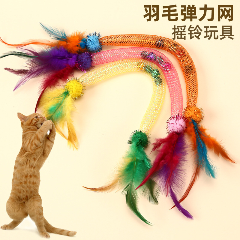 Katzen-Gummiseil-Kauspielzeug mit Katzenminze und Federangel