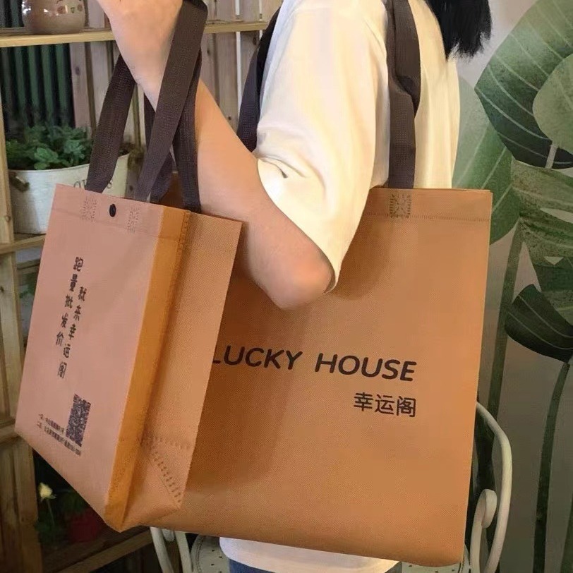 Non-Woven Fashion Garment and Shoe Bag Printed Packaging Bag