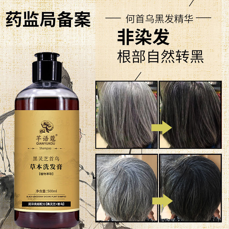 Black Reishi and Heshouwu Shampoo, White to Black, Anti-Dandruff
