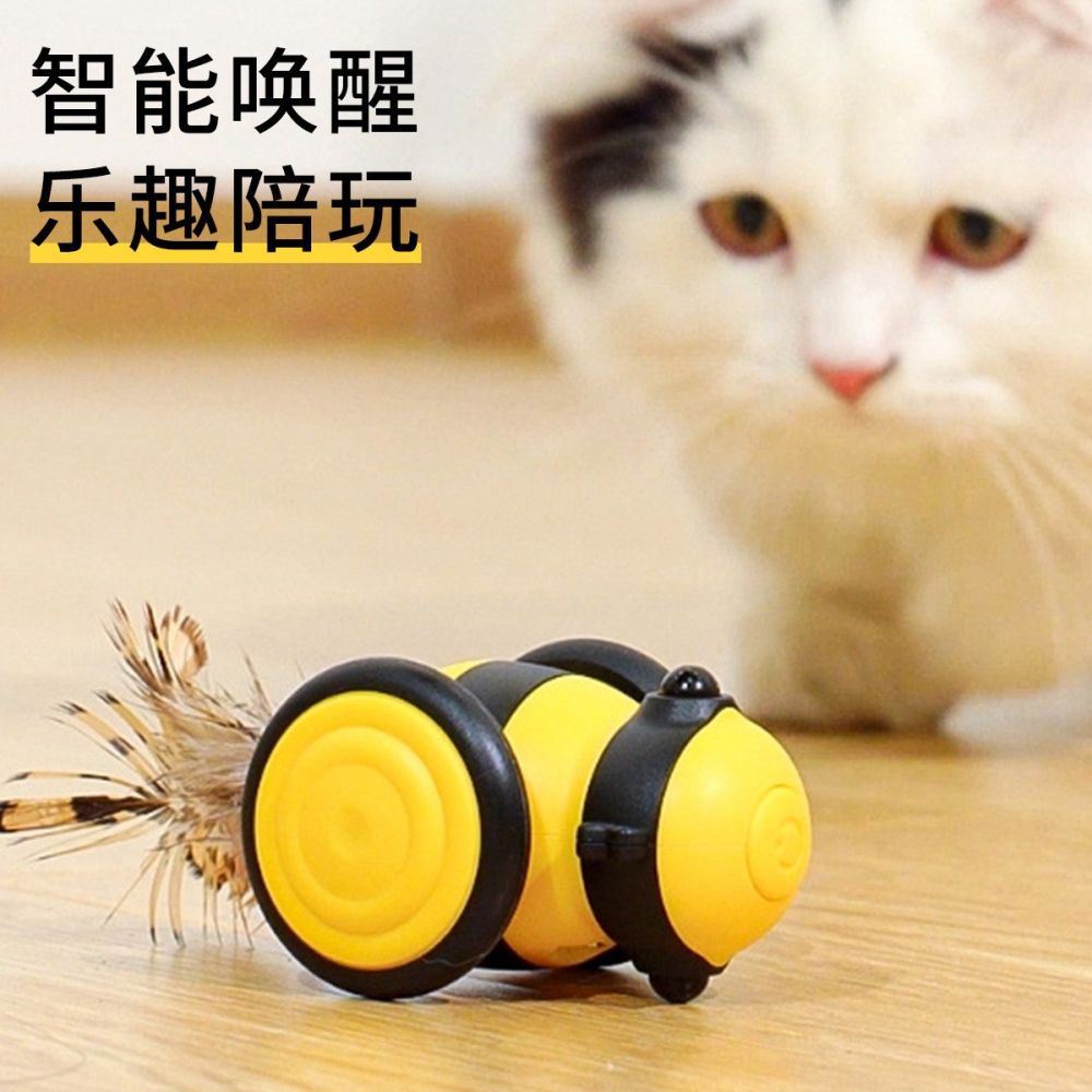 Elektrisches automatisches Katzenspielzeug mit Federangel