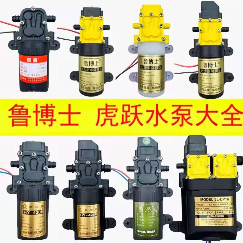 12V Agricultural Sprayer Diaphragm Water Pump, High Pressure Self-Priming Motor