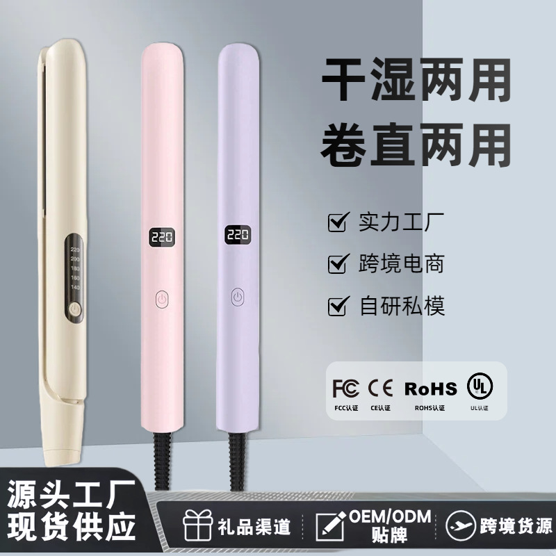 Cross-border Electric Hair Straightener Curling Iron 2-in-1 Bangs Student Hair Straightening Plate Mini Portable Hair Straightener and Curler