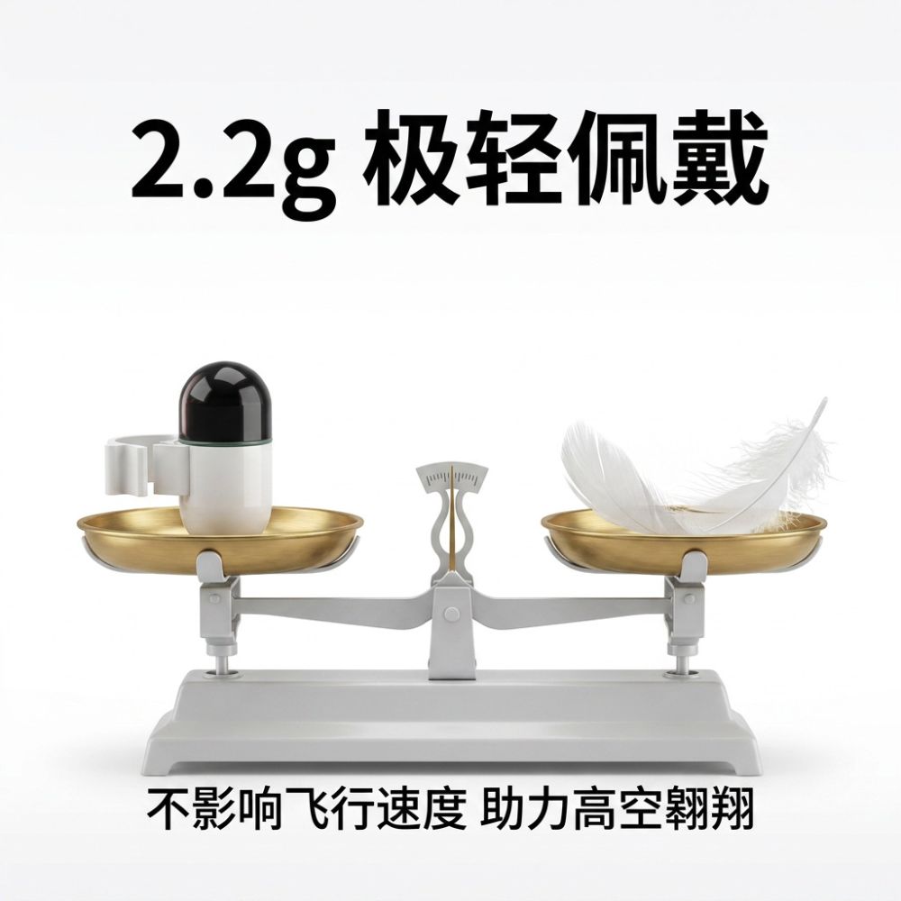 Taubenpeilsender Vogelpeilsender Taubentransponder Ultra-leicht Brieftauben Bluetooth-Peilsender Android Apple kompatibel