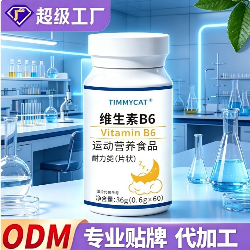 Vitamin B6 Tablets Sports Nutrition Supplement