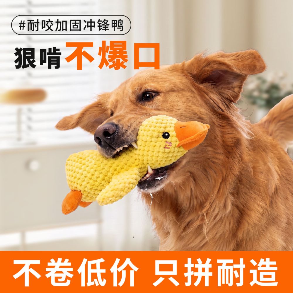 Katze, gelbe Ente, Hundespielzeug, Plüsch, bissfest, quietschend, Geräuschspielzeug, Golden Retriever, Corgi Haustierbedarf
