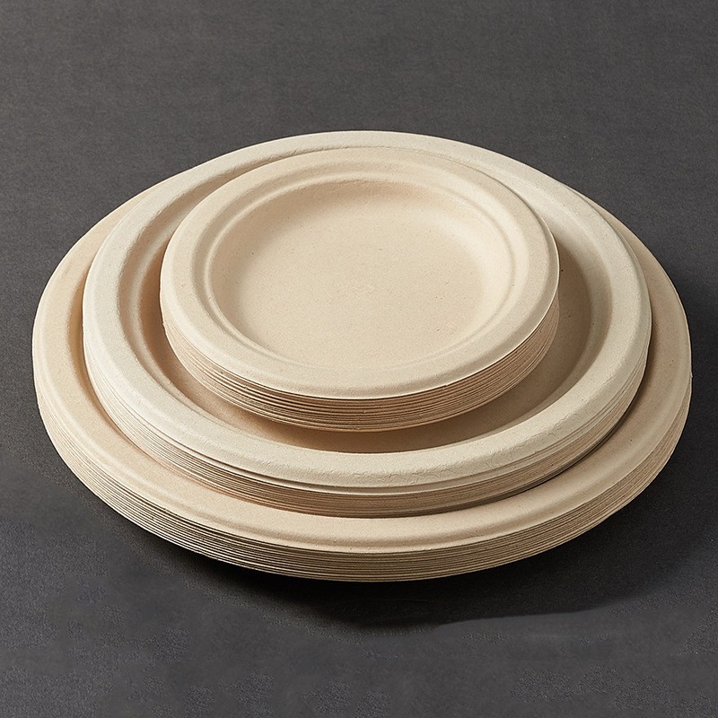 Disposable Eco-Friendly Paper Plates, Square and Oval, Picnic and BBQ - 1