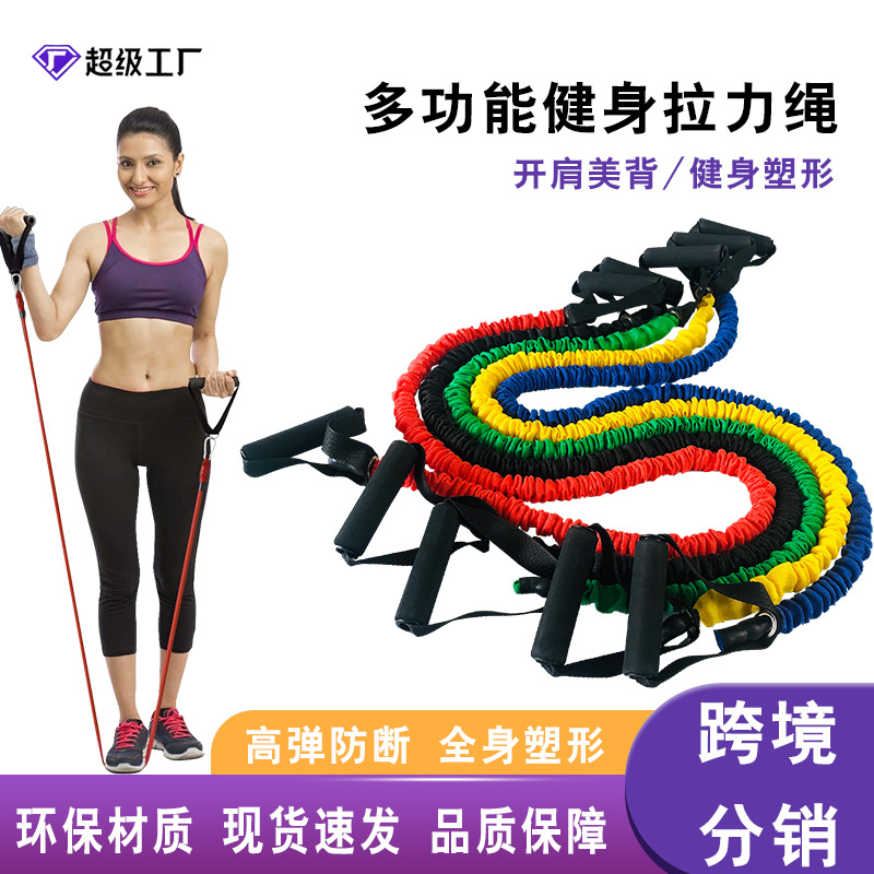 Single-Arm Chest Expander Resistance Rope Back and Strength Training