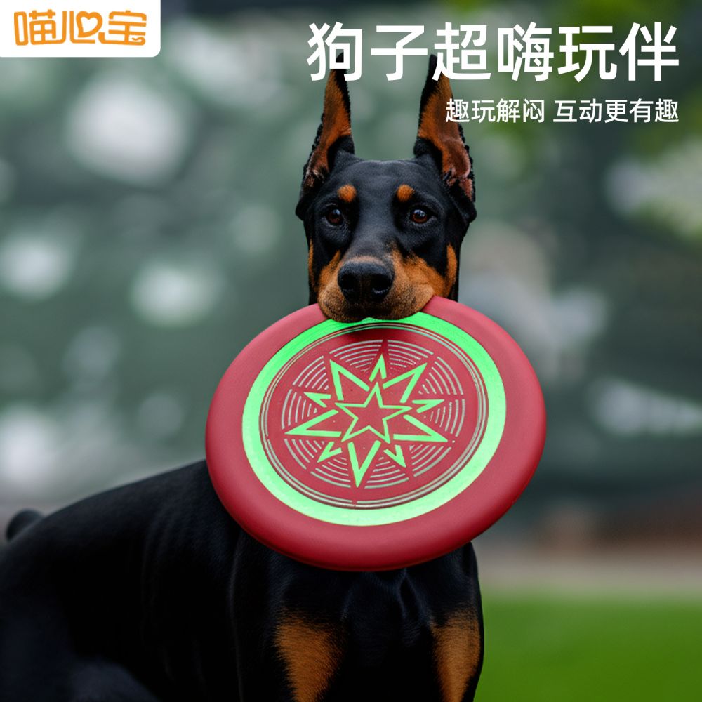 Fluorescent EVA Dog Frisbee, Soft and Bite-Resistant Training Disc