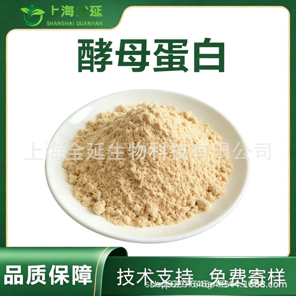 酵母蛋白食品用原料无蔗糖无脂肪乳清蛋白平替蛋白粉