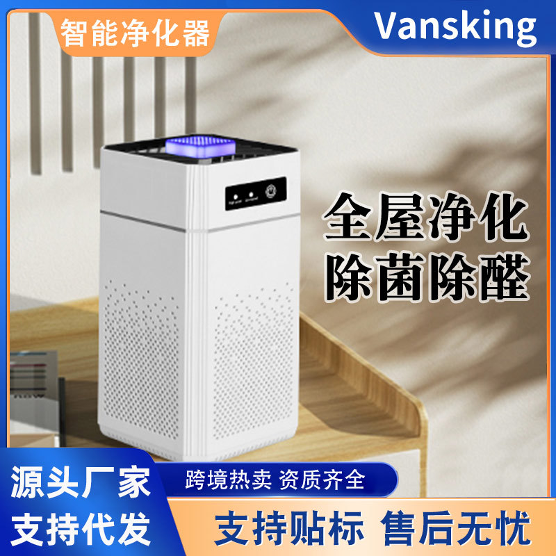 USB Portable Air Purifier with Negative Ion and Formaldehyde Filter - 1