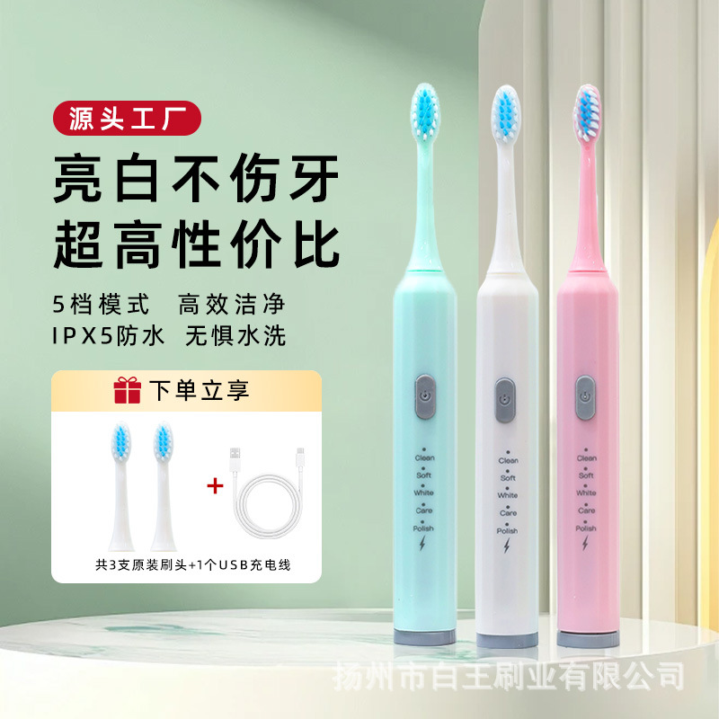 Sonic Electric Toothbrush, Lithium Battery, Rechargeable