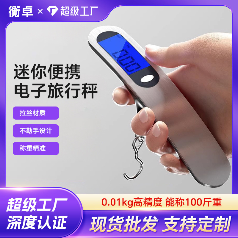 Portable Electronic Luggage Hanging Scale with Hook, 50 kg