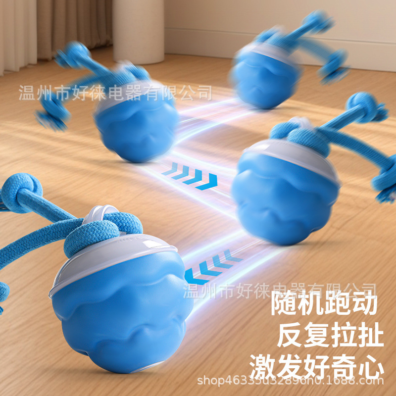 Rechargeable Smart Cat and Dog Toy, Boredom Relief
