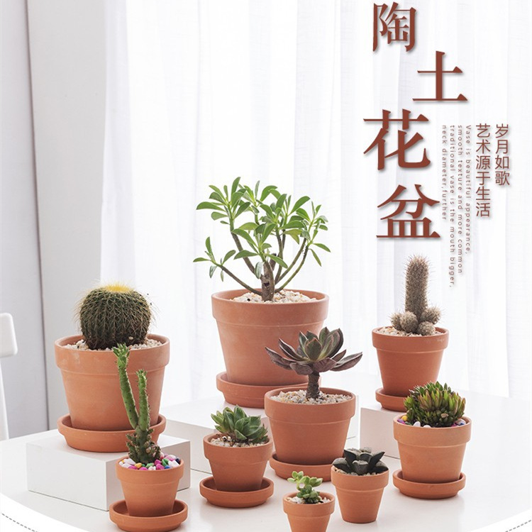 Red Clay Ceramic Flowerpot for Succulents, Water-Permeable - 1