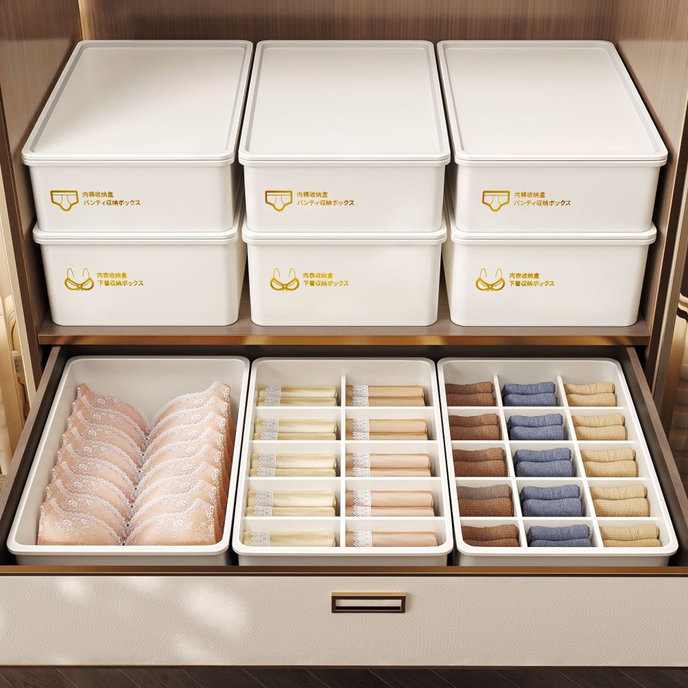 3-in-1 Drawer Organizer for Underwear, Lingerie and Socks