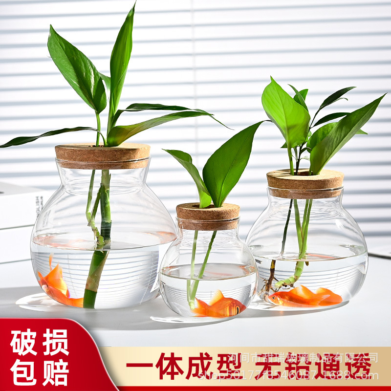 High Borosilicate Glass Hydroponic Plant Bottle, Desktop Vase and Betta Tank - 1