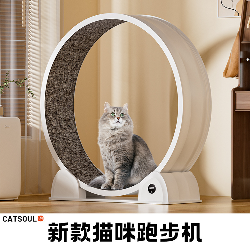 Akıllı dijital göstergeli ABS kedi koşu tekerleği, büyük çap, sessiz