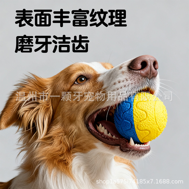 ETPU Smart Dog Training Ball, High Elasticity, Chew-Resistant